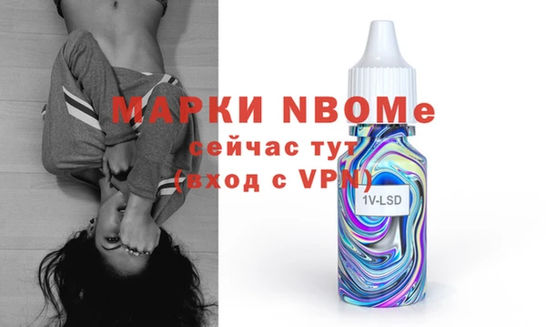 индика Алзамай