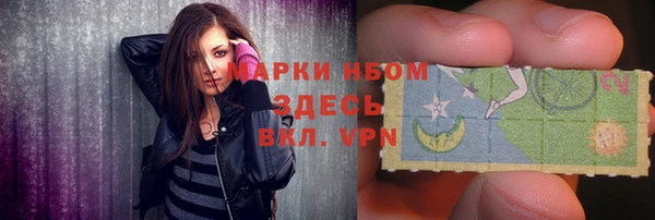 индика Алзамай