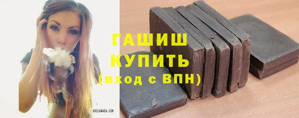 индика Алзамай