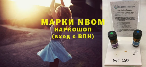 гашик Алексин