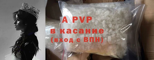 гашик Алексин