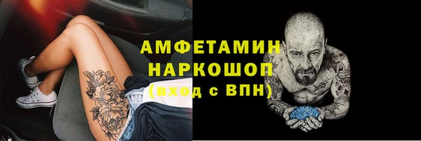 индика Алзамай