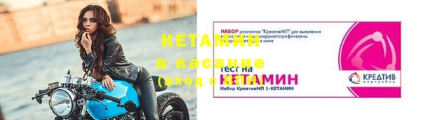 гашик Алексин