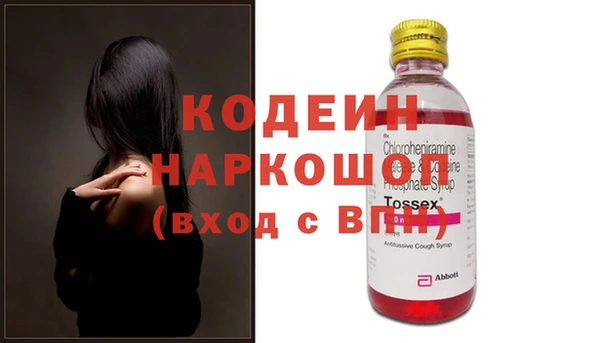 гашик Алексин