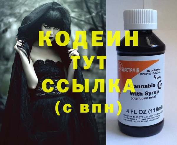 индика Алзамай