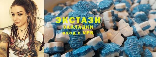 гашик Алексин