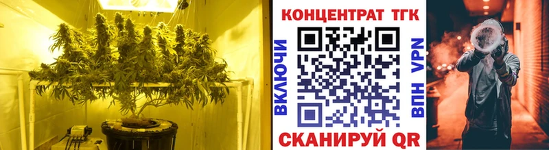 закладки  Малаховка  ТГК вейп 